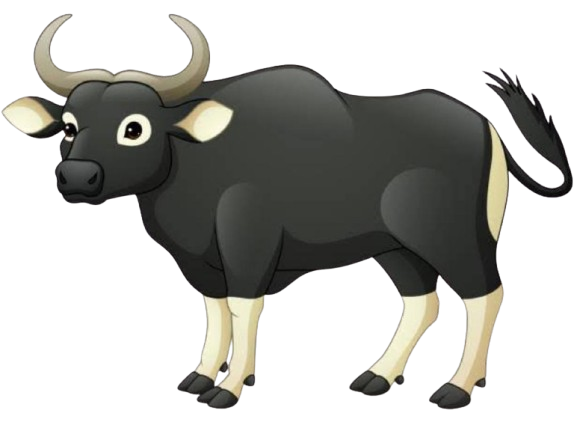 Sapi Bali